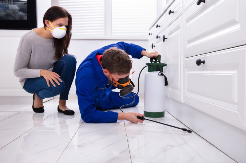Bee Pest Control Solutions For Roofs, Walls, And Attics