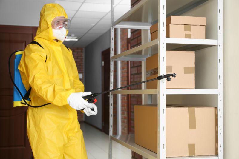 Cost of Bee Hive Removal — Cost of Bee Hive Removal