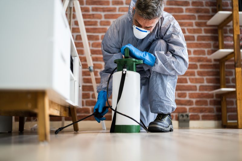Cost of Bee Hive Removal — Cost of Bee Hive Removal